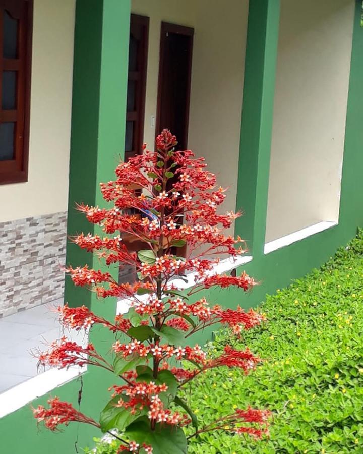 Wikungo Hotel Пуэрто-Наринио Экстерьер фото