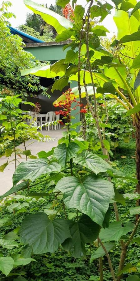 Wikungo Hotel Пуэрто-Наринио Экстерьер фото